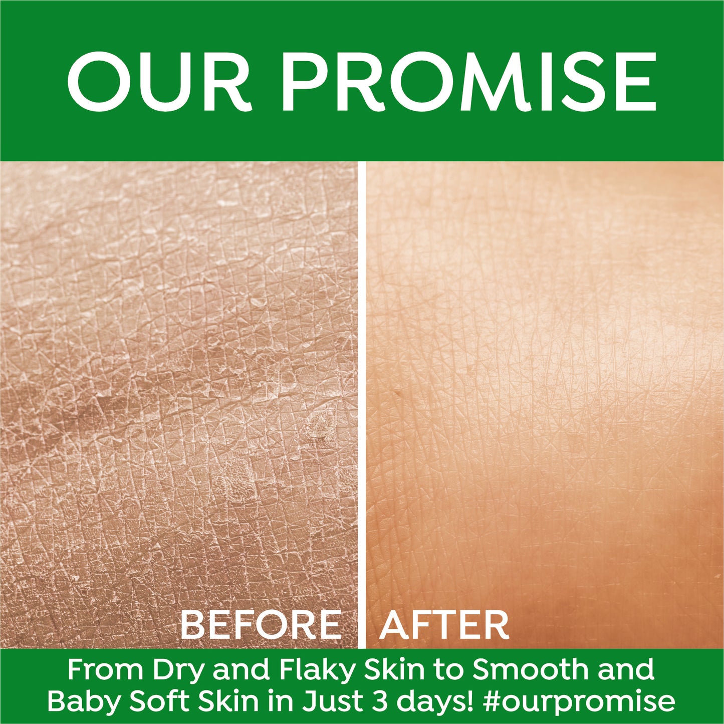 ALOEVERA MASSAGE CREAM 800 ml