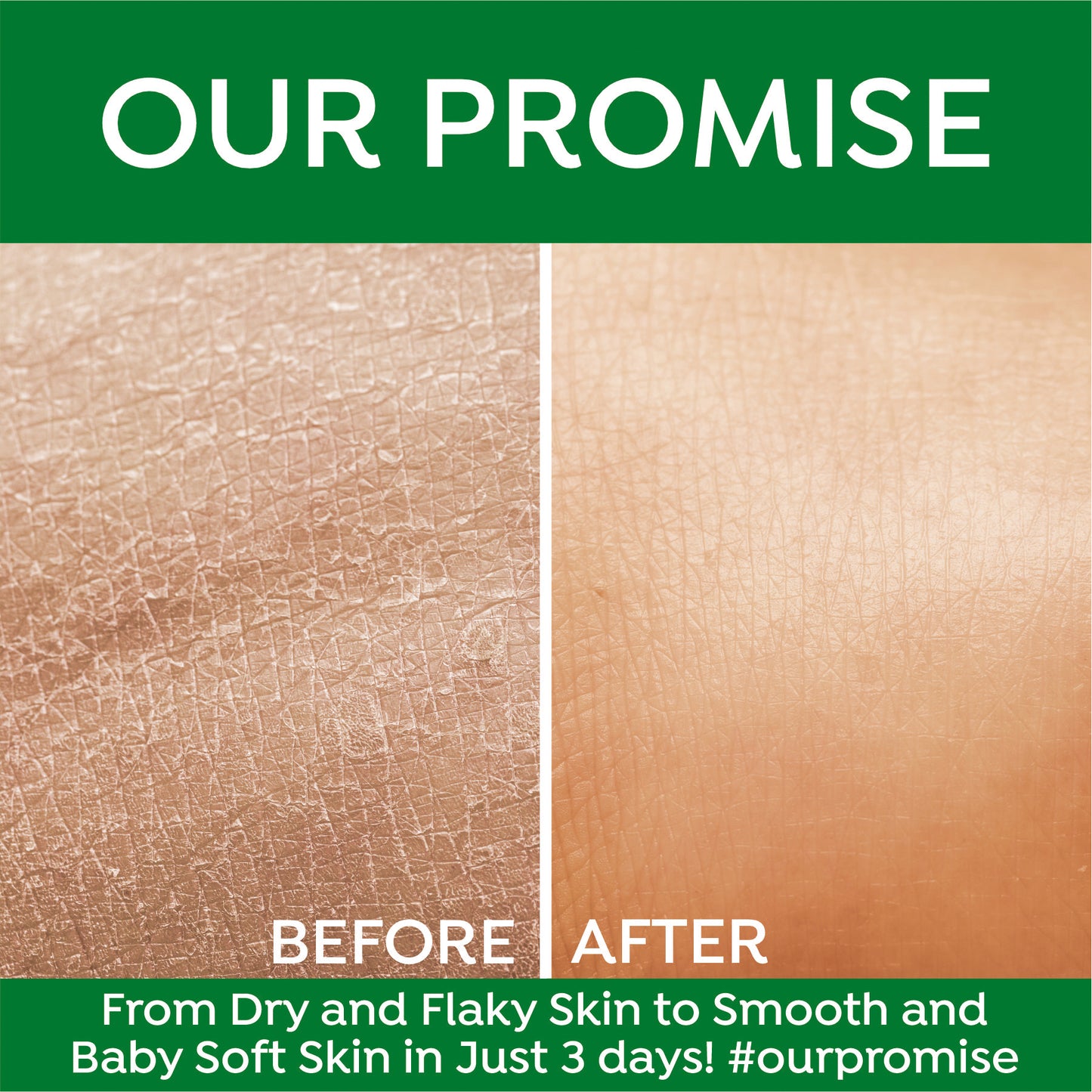 ALOEVERA MASSAGE CREAM 900ML