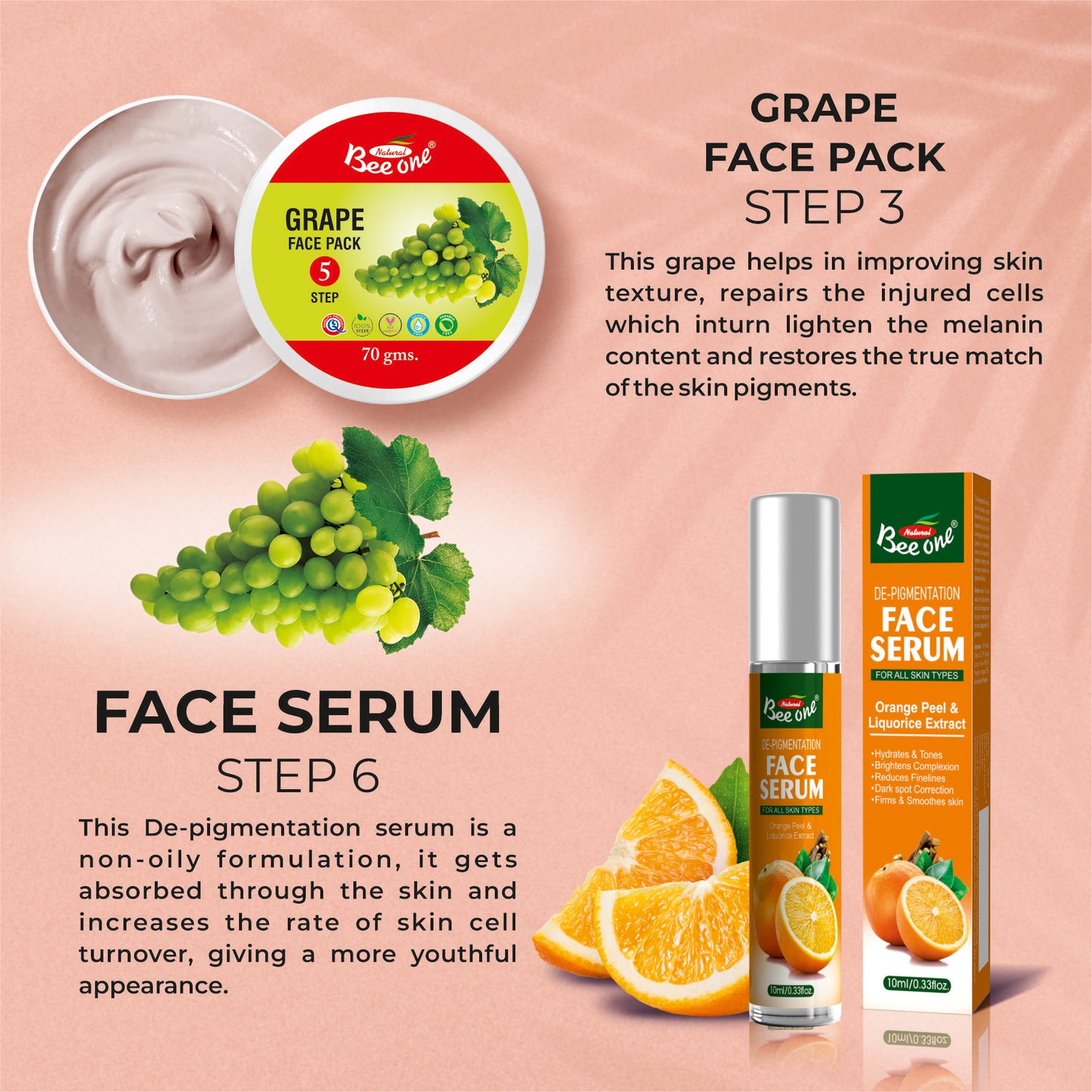 FRUIT FACIAL KIT 312g