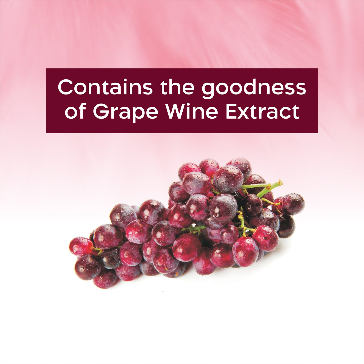 GRAPE WINE FACIAL KIT 312g