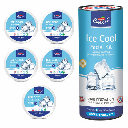 ICE COOL FACIAL KIT 1100g