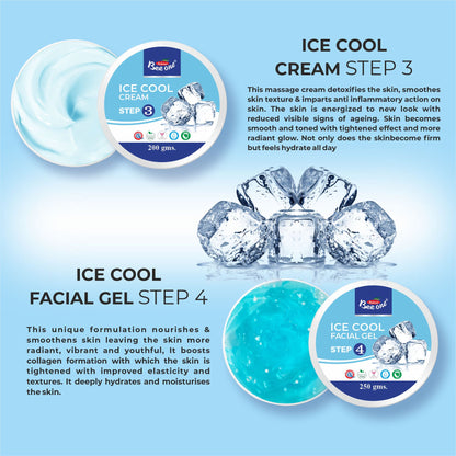 ICE COOL FACIAL KIT 1100g