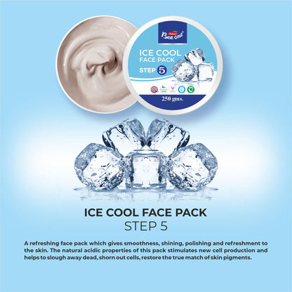 ICE COOL FACIAL KIT 1100g