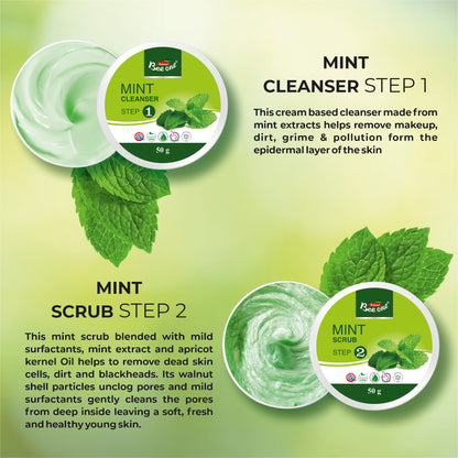 MINT FACIAL KIT  312g