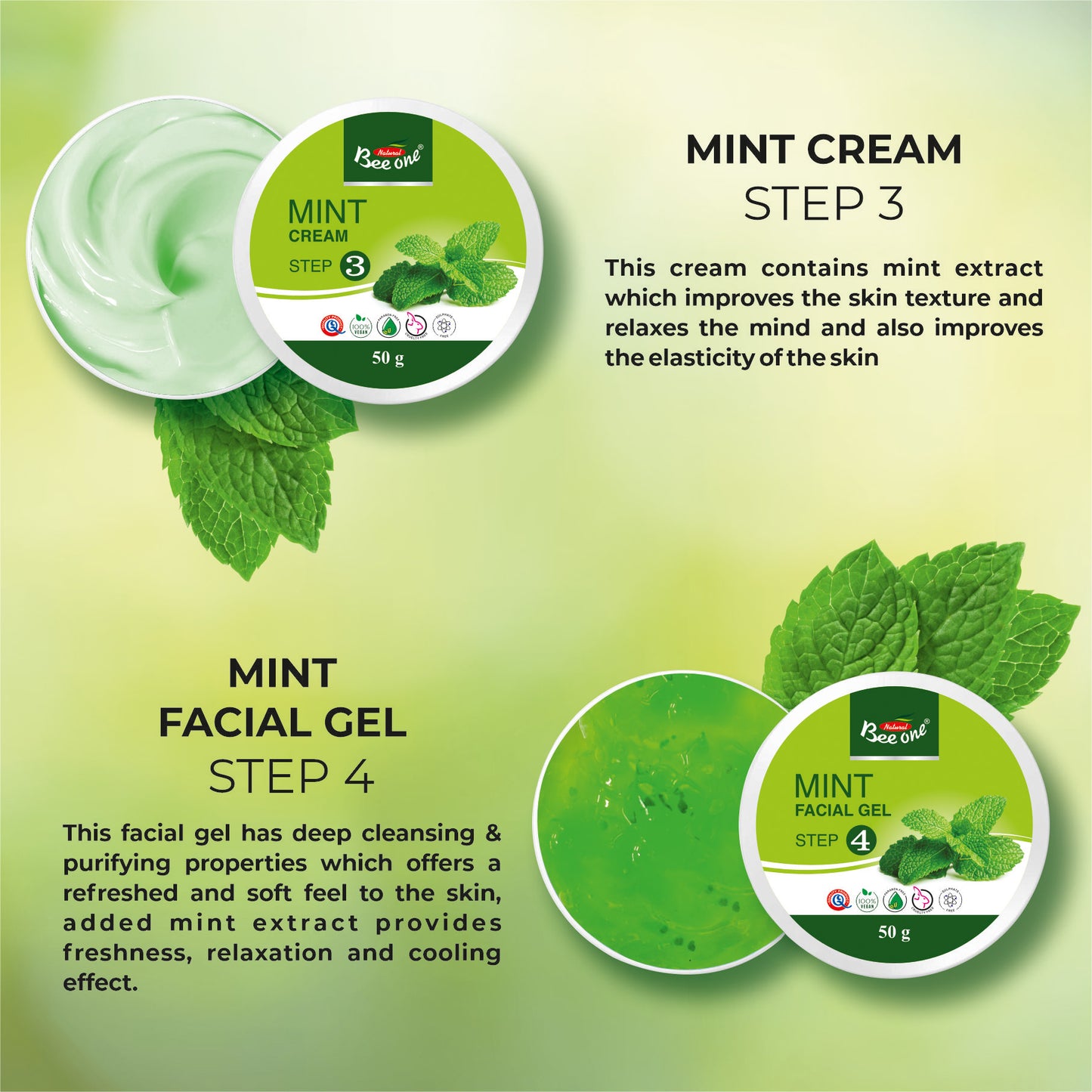 MINT FACIAL KIT  312g