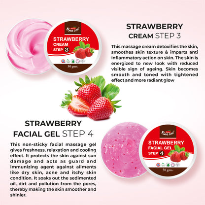 STRAWBERRY FACIAL KIT 312g