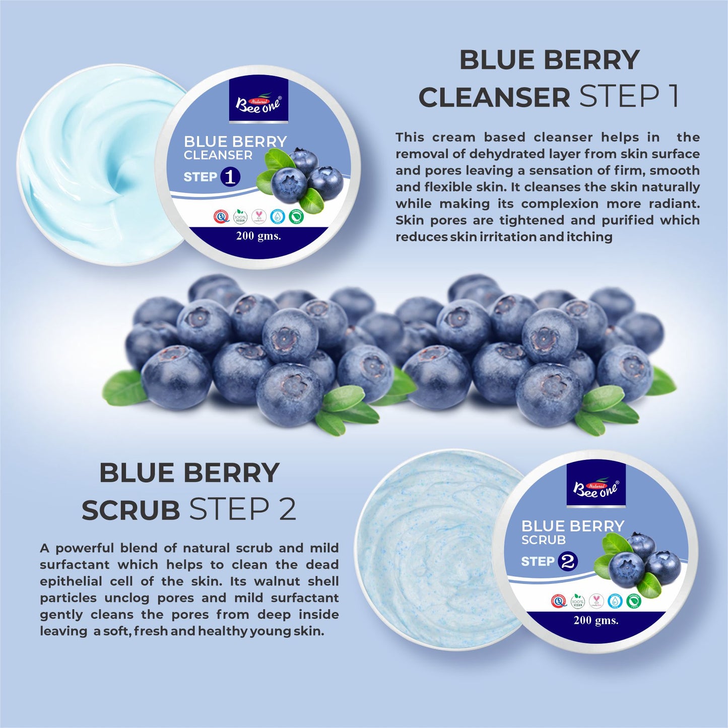 BLUE BERRY ROLLER KIT 1100g