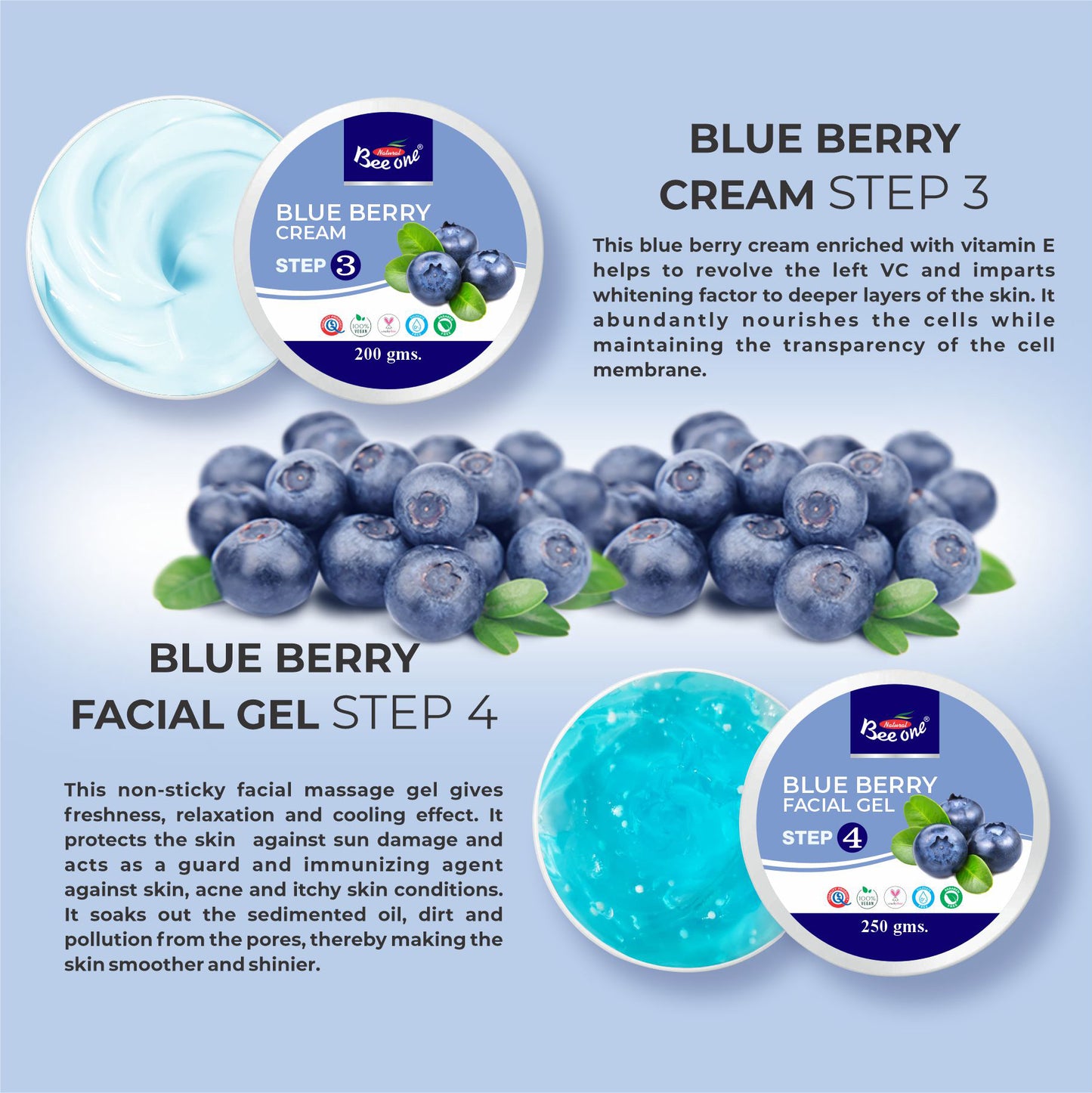 BLUE BERRY ROLLER KIT 1100g