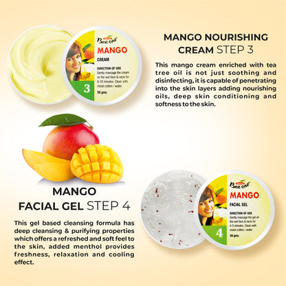 MANGO FACIAL KIT 312g